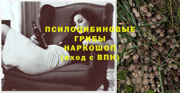 гидра Костерёво
