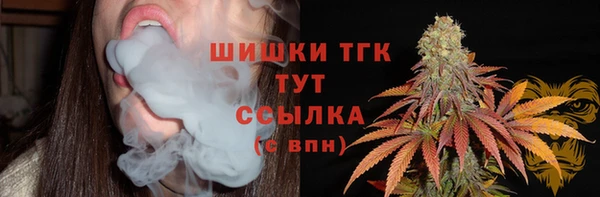 гашик Коряжма