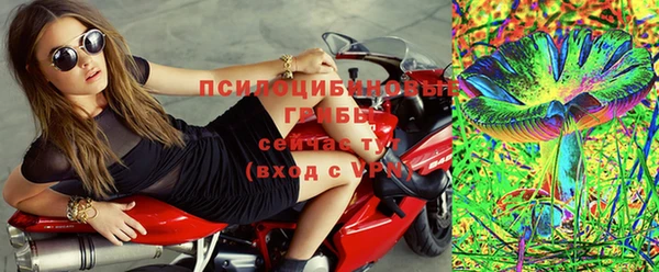 гашик Коряжма
