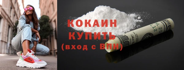 гашик Коряжма