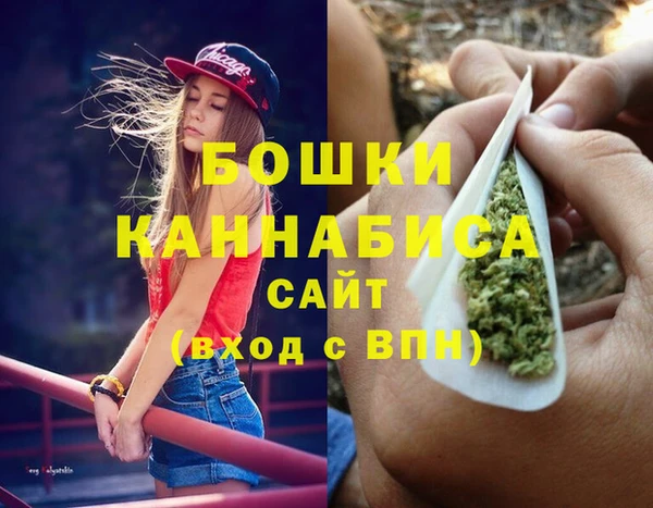гашик Коряжма