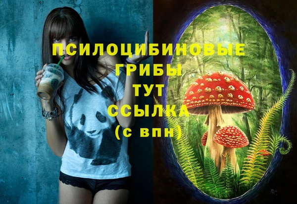 гашик Коряжма