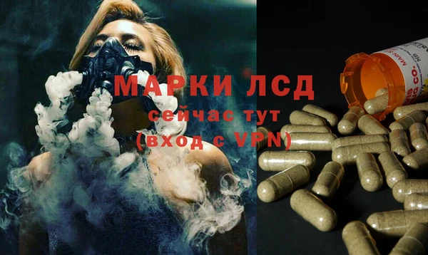 гидра Костерёво