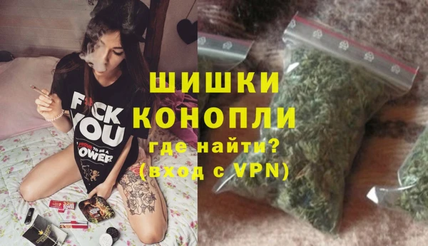 гидра Костерёво