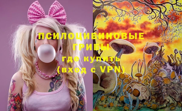гидра Костерёво