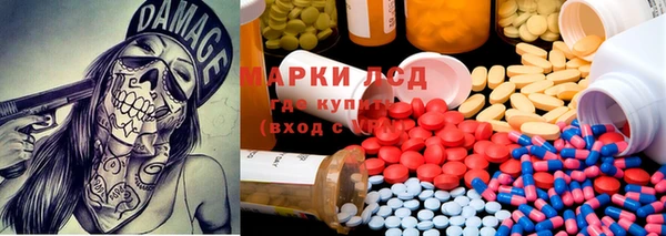 гашик Коряжма