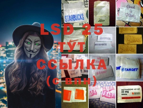 гашик Коряжма