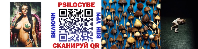 блэк спрут tor  Одинцово  Псилоцибиновые грибы Psilocybine cubensis 